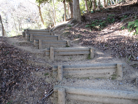 20170126hike (32)